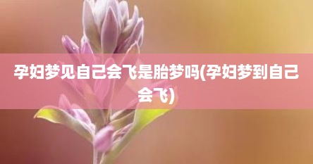 孕妇梦见自己会飞是胎梦吗(孕妇梦到自己会飞)