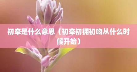初牵是什么意思（初牵初拥初吻从什么时候开始）