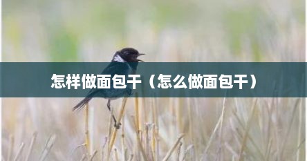 怎样做面包干（怎么做面包干）