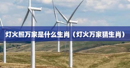 灯火照万家是什么生肖（灯火万家猜生肖）