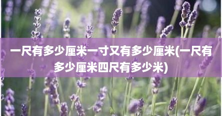 一尺有多少厘米一寸又有多少厘米(一尺有多少厘米四尺有多少米)