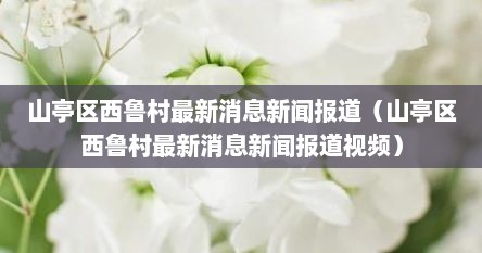 山亭区西鲁村最新消息新闻报道（山亭区西鲁村最新消息新闻报道视频）