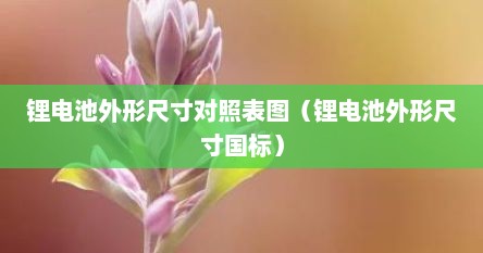 锂电池外形尺寸对照表图（锂电池外形尺寸国标）