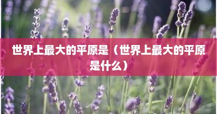 世界上最大的平原是（世界上最大的平原是什么）