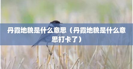 丹霞地貌是什么意思（丹霞地貌是什么意思打卡了）