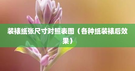 装裱纸张尺寸对照表图（各种纸装裱后效果）
