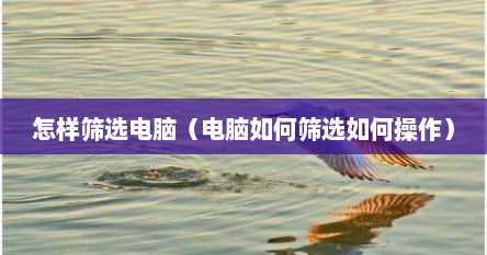 怎样筛选电脑（电脑如何筛选如何操作）