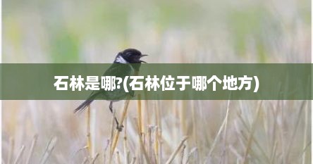 石林是哪?(石林位于哪个地方)