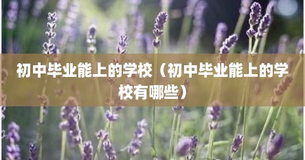 初中毕业能上的学校（初中毕业能上的学校有哪些）