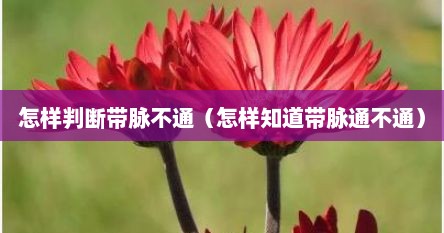 怎样判断带脉不通（怎样知道带脉通不通）