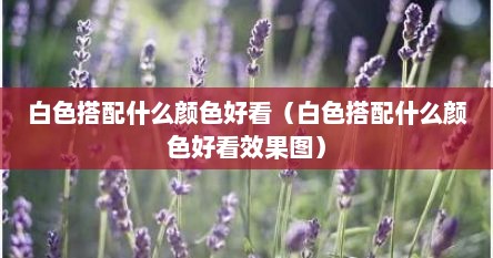 白色搭配什么颜色显得高级（白色搭配什么颜色比较高级）