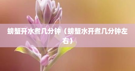 螃蟹开水煮几分钟（螃蟹水开煮几分钟左右）