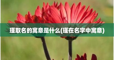 瑾取名的寓意是什么(瑾在名字中寓意)