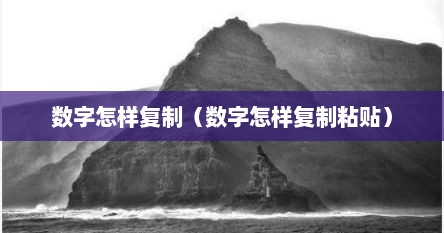 数字怎样复制（数字怎样复制粘贴）