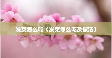 发菜怎么吃（发菜怎么吃及做法）