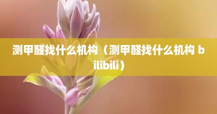测甲醛找什么机构（测甲醛找什么机构 bilibili）
