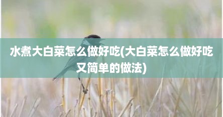 水煮大白菜怎么做好吃(大白菜怎么做好吃又简单的做法)