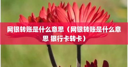 网银转账是什么意思（网银转账是什么意思 银行卡转卡）