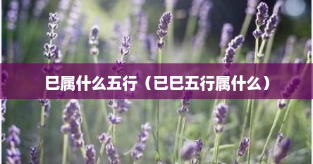 巳属什么五行（已巳五行属什么）
