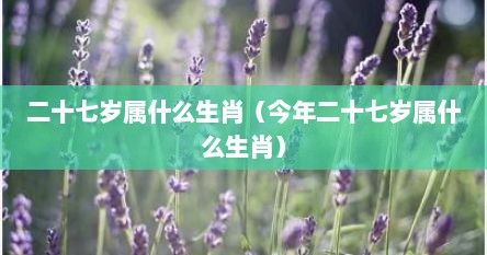 二十七岁属什么生肖（今年二十七岁属什么生肖）