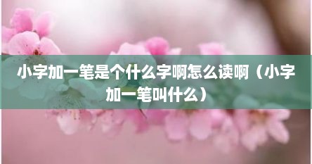 小字加一笔是个什么字啊怎么读啊（小字加一笔叫什么）