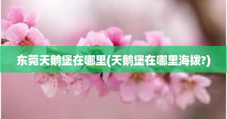东莞天鹅堡在哪里(天鹅堡在哪里海拨?)
