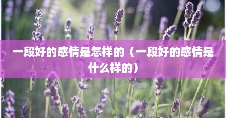 一段好的感情是怎样的（一段好的感情是什么样的）