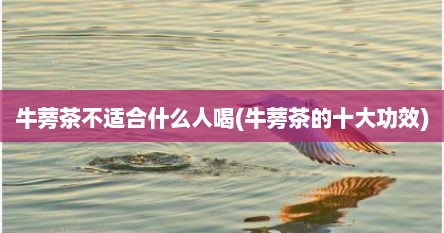 牛蒡茶不适合什么人喝(牛蒡茶的十大功效)