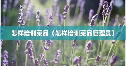 怎样培训菜品（怎样培训菜品管理员）