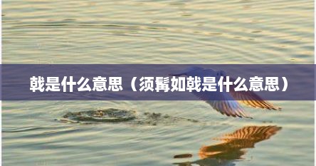 戟是什么意思（须髯如戟是什么意思）