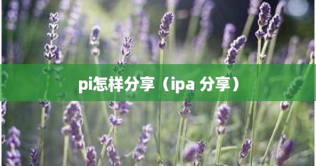 pi怎样分享(ipa 分享)