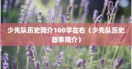 少先队历史简介100字左右（少先队历史故事简介）