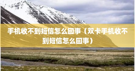 手机收不到短信怎么回事（双卡手机收不到短信怎么回事）