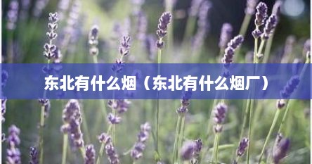 东北有什么烟（东北有什么烟厂）