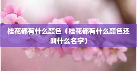 桂花都有什么颜色（桂花都有什么颜色还叫什么名字）