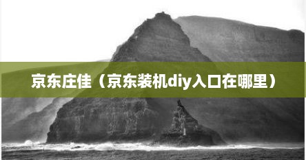 京东diy装机大师装机配置单（京东diy装机店铺可以发货自己装吗）