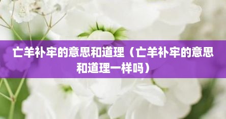 亡羊补牢的意思和道理（亡羊补牢的意思和道理一样吗）