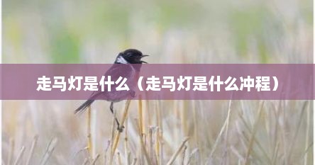 走马灯是什么（走马灯是什么冲程）
