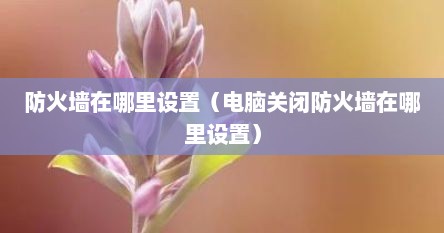 防火墙在哪里设置（电脑关闭防火墙在哪里设置）