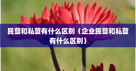民营和私营有什么区别（企业民营和私营有什么区别）