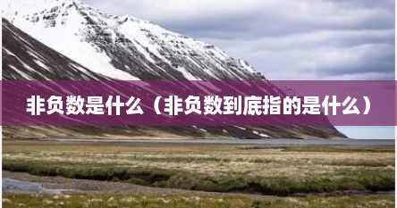 非负数是什么（非负数到底指的是什么）