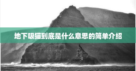地下吸猫到底是什么意思的简单介绍