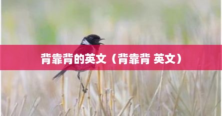 背靠背的英文（背靠背 英文）