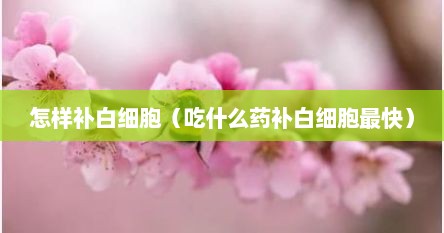 怎样补白细胞（吃什么药补白细胞最快）