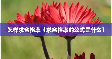 怎样求合格率（求合格率的公式是什么）