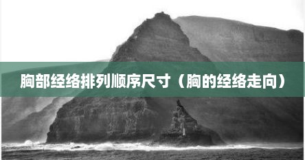 胸部经络排列顺序尺寸（胸的经络走向）