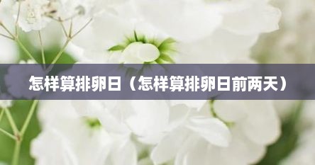 怎样算排卵日（怎样算排卵日前两天）