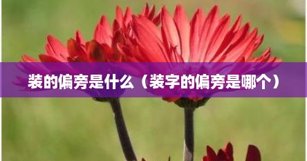 装的偏旁是什么（装字的偏旁是哪个）
