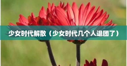 少女时代解散（少女时代几个人退团了）