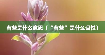 有些是什么意思（“有些”是什么词性）